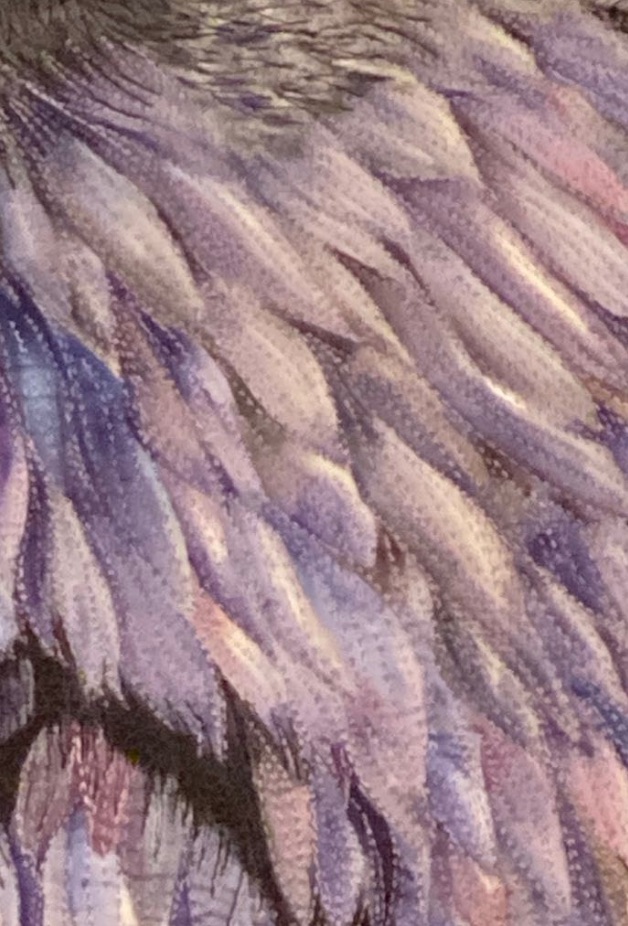 "Nevermore" by Debra Crine - Feathers